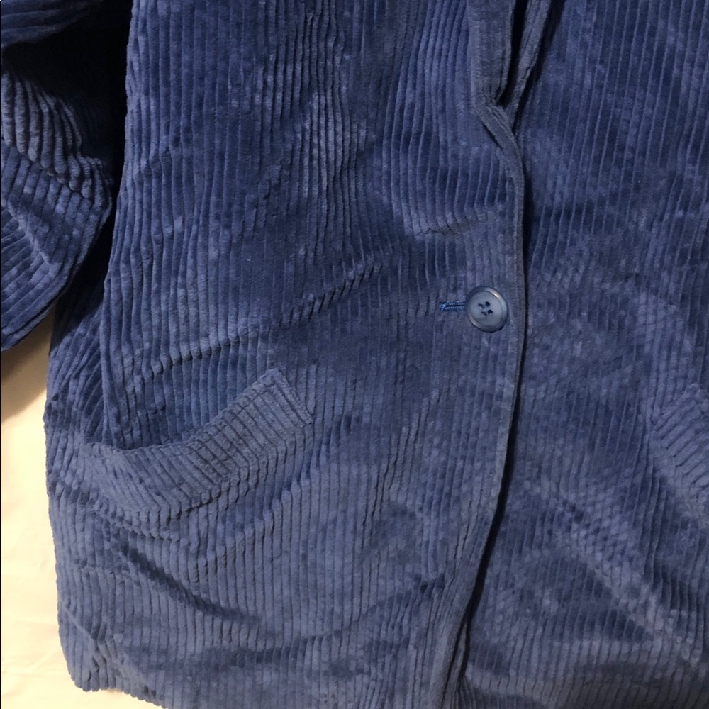 Carson Pirie Scott Blue Corduroy Blazer View 3